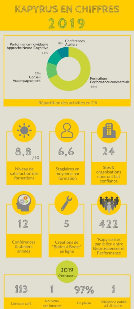 Infographie bilan Kapyrus 2019