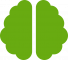 brain solid
