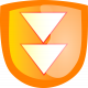 fleche orange