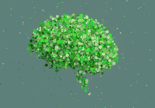 Neuro-vente & Neuro-management